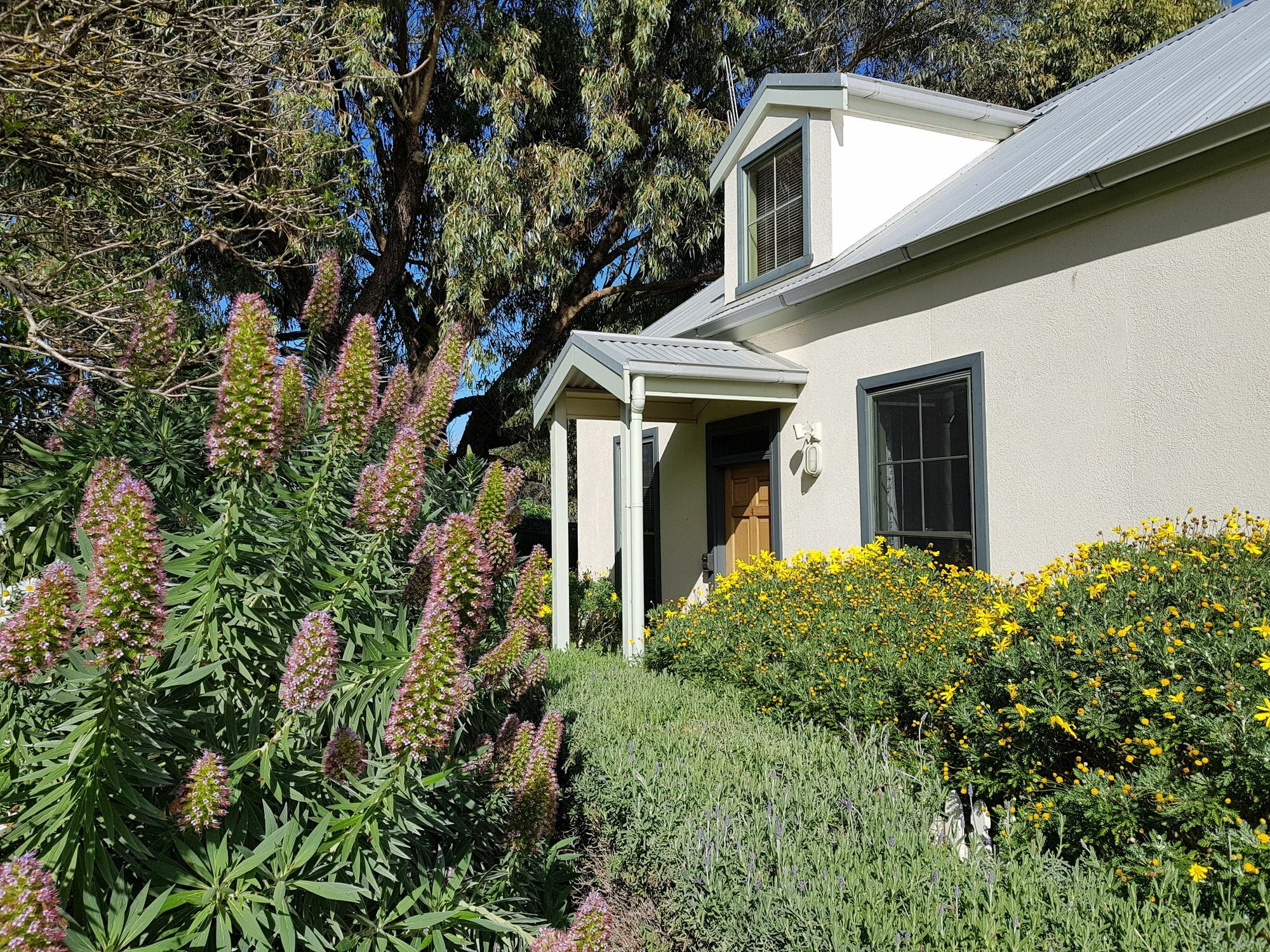 Clonmara Country House And Cottages Port Fairy Exterior photo